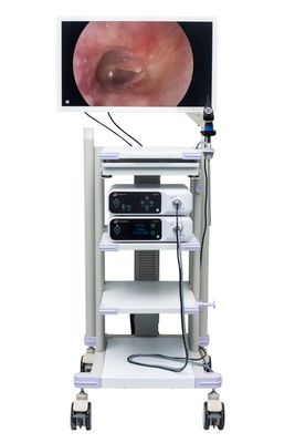 Chirurgischer Bildschirm für Endoscope-Kamera 27-Zoll-medizinischer Endoskopiemonitor