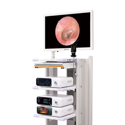 Volle HD medizinische Laparoscopic Kamera des Endoscope-Kamera-System-4k