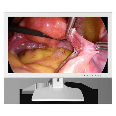 Endoscope-medizinischer Monitor 24inch 1980x1200 RGBS