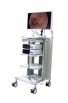 Medizinische volle HD-Endoscope-Kamera für chirurgischen HNOlaparoskopie-Gynäkologie-Hysteroskopie Arthroscopy